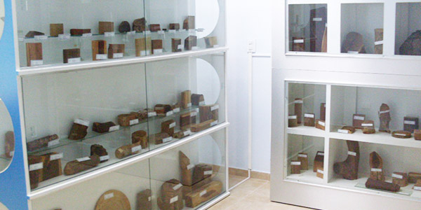 museo.jpg