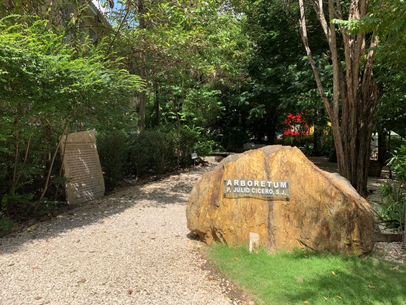 arboretum.jpg